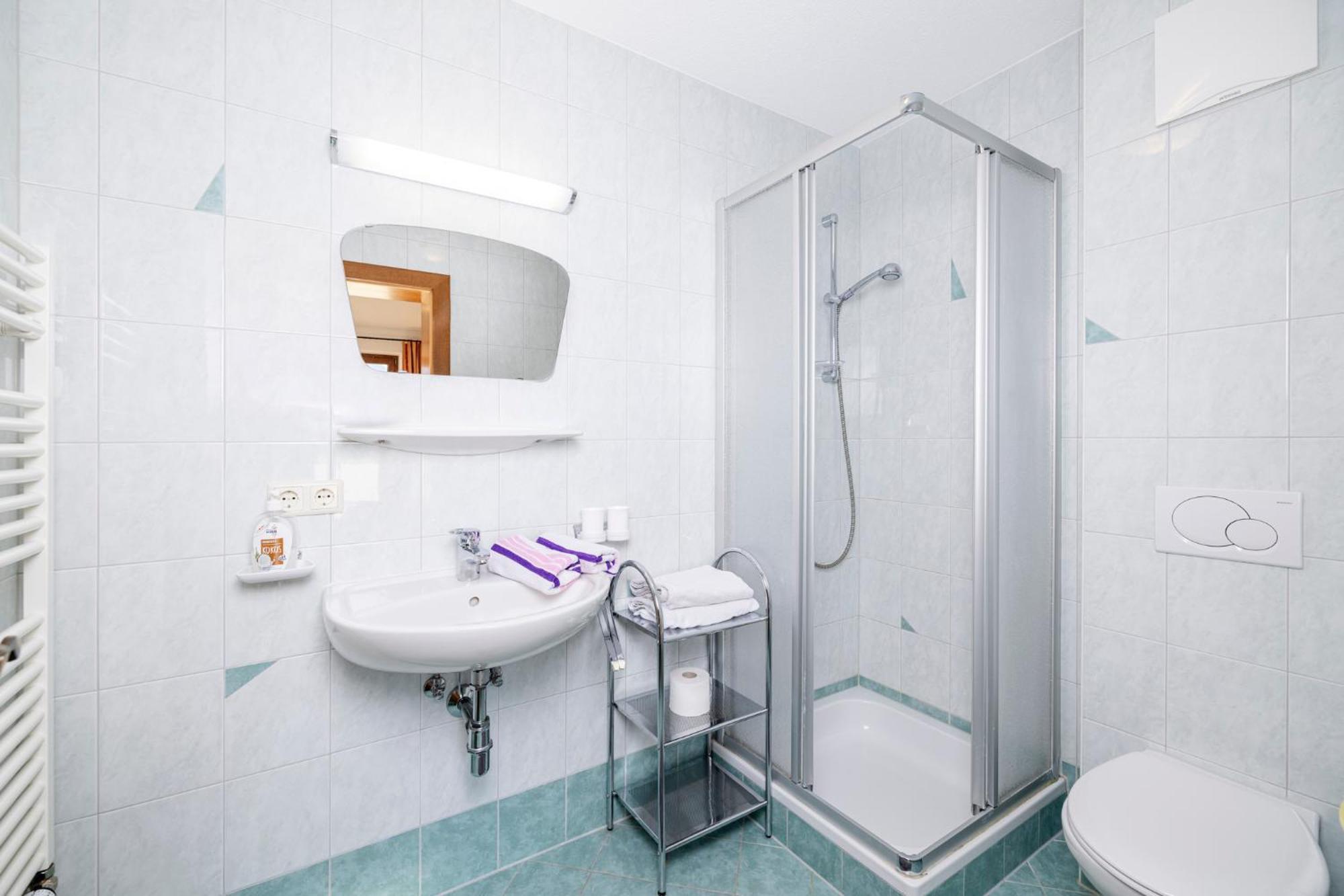 Lippnerhof Apartment Aschau Im Zillertal Екстериор снимка