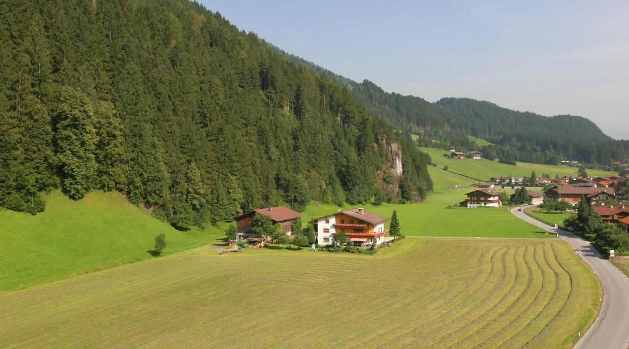 Lippnerhof Apartment Aschau Im Zillertal Екстериор снимка
