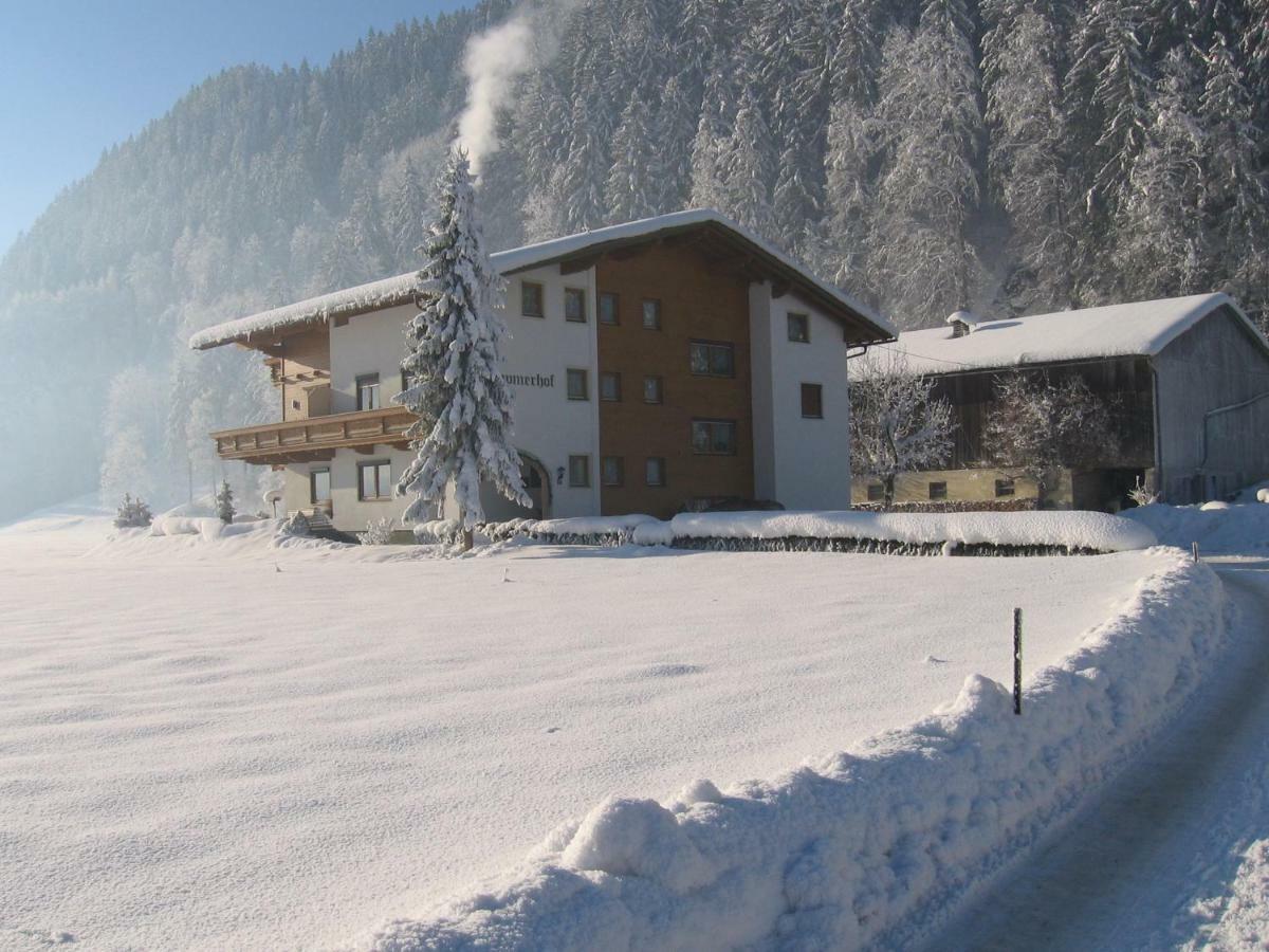 Lippnerhof Apartment Aschau Im Zillertal Екстериор снимка